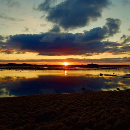 Seaside View Lofoten Bostad المظهر الخارجي الصورة
