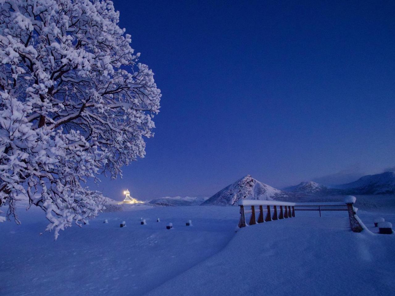 Seaside View Lofoten Bostad المظهر الخارجي الصورة